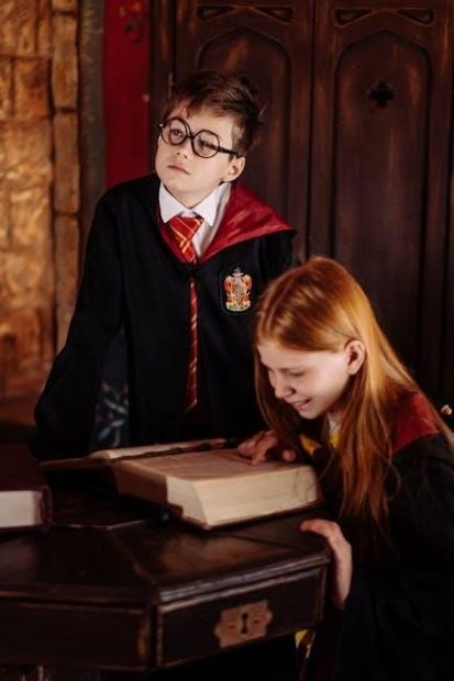 harry potter book 5 pdf