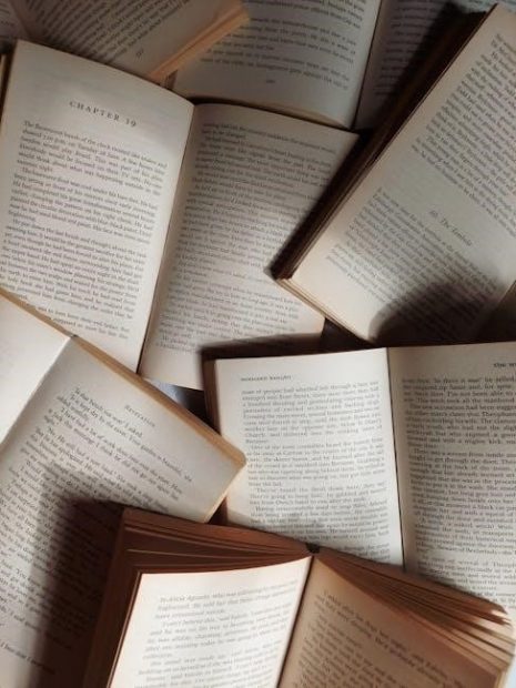 the outsiders chapter 1 pdf